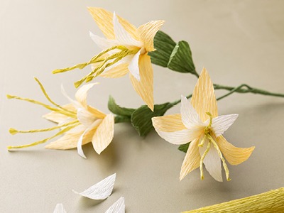 Techniques with crepe paper