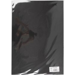 Card, A2, sheet 420x594 mm, 180 g, black, 10 sheet/ 1 pack