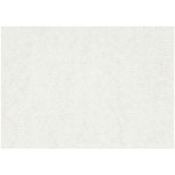 Watercolour Paper