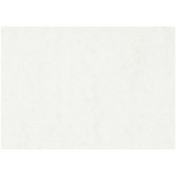 Watercolour Paper