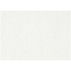 Watercolour Paper
