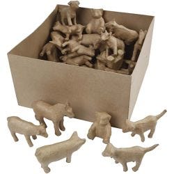 Small Animals