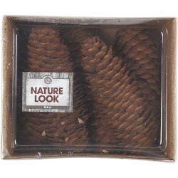 Abies Cone, dia. 40 mm, 100 g/ 1 pack
