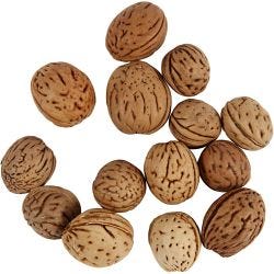 Nuts