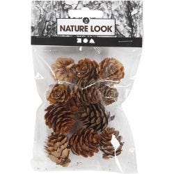Larch cones, 12 pc/ 1 pack