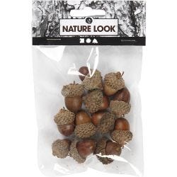 Acorn, 12 pc/ 1 pack
