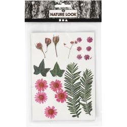 Tørkede blomster og blad, lys rød, 1 pk.