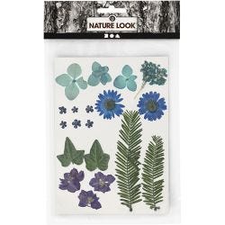 Tørkede blomster og blad, blå, 1 pk.