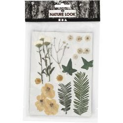 Tørkede blomster og blad, råhvit, 1 pk.