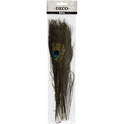 Peacock feathers, L: 25-30 cm, 10 pc/ 1 pack