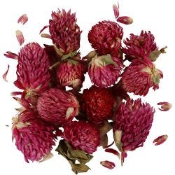 Dried Flowers