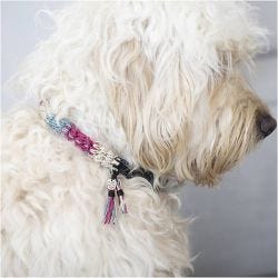 Mini Craft Kit Crochet, Dog Collar, 1 pack