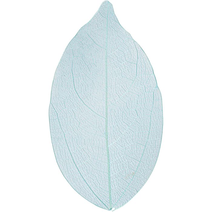 Skeleton Leaves, L: 6-8 cm, light blue, 20 pc/ 1 pack
