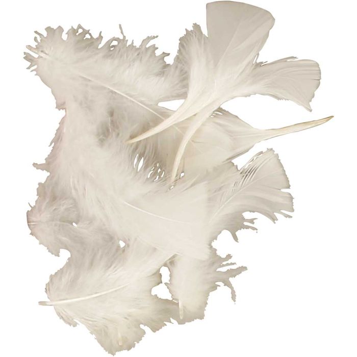 Down, size 7-8 cm, ca. 375 pc, white, 50 g/ 1 pack
