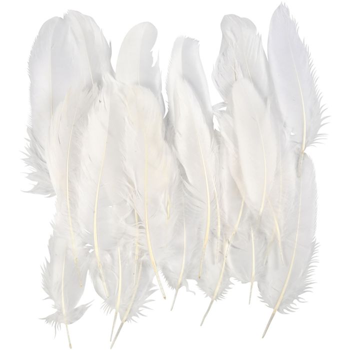 Feathers, ca. 10-18 cm, white, 5x70 pc/ 1 pack