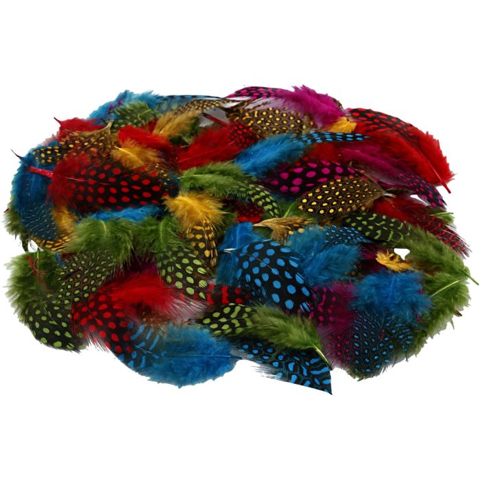 Guinea fowl feathers, ca. 1500 pc, assorted colours, 50 g/ 1 pack
