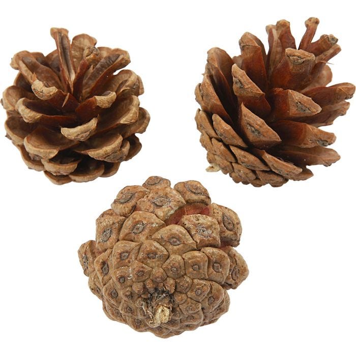 Pine Cones, dia. 40 mm, 500 g/ 1 pack