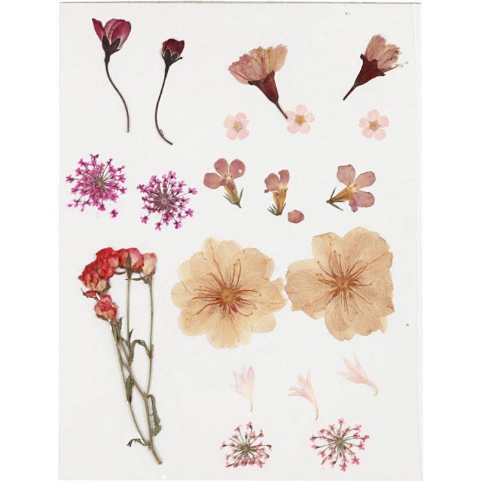 Pressed Flowers and leaves, light rose, 1 pack