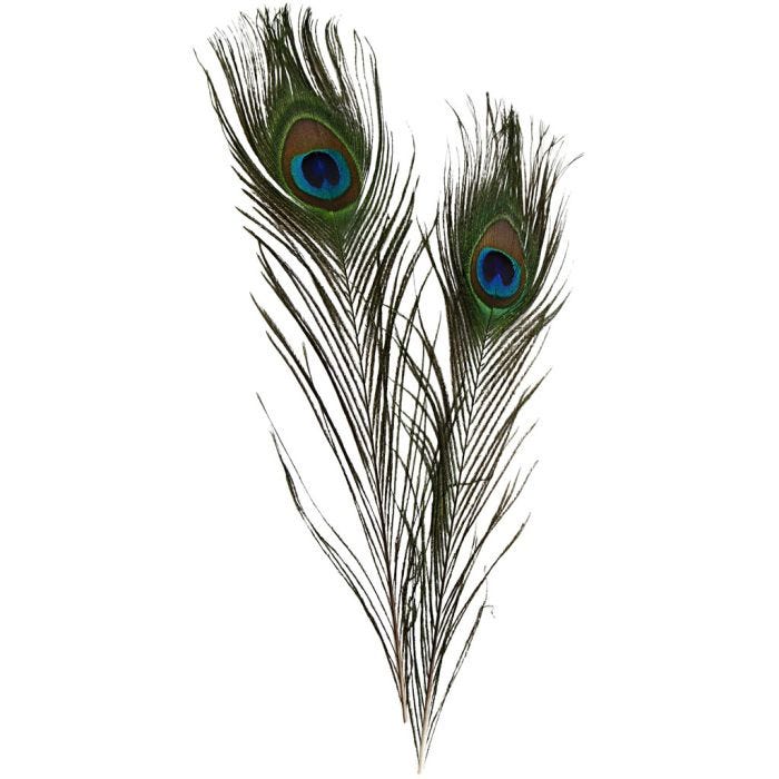 Peacock feathers, L: 25-30 cm, 10pc/ 1 pack