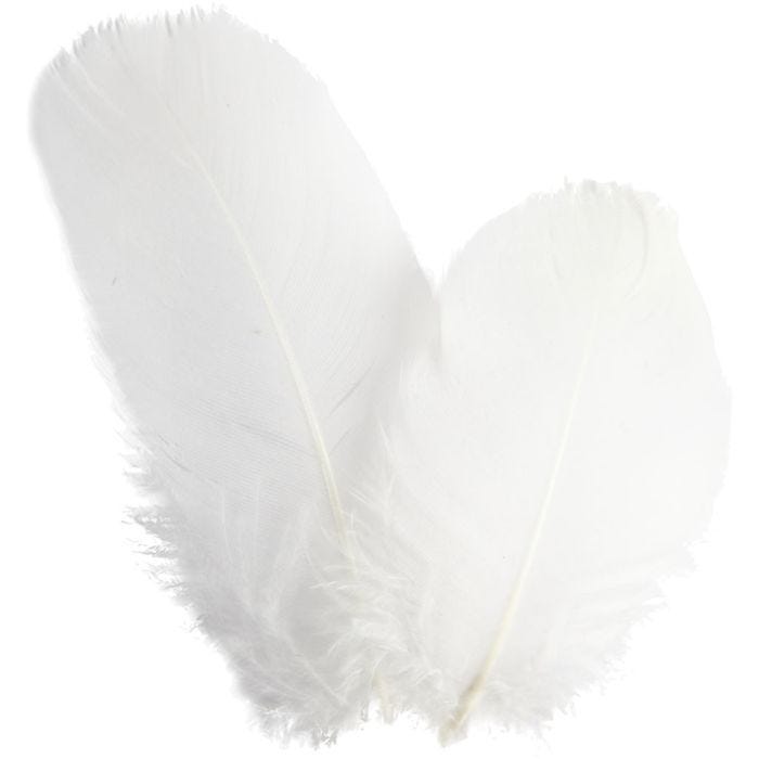 Goose feathers, round, 5-8 cm, white, 3g/ 1 pack