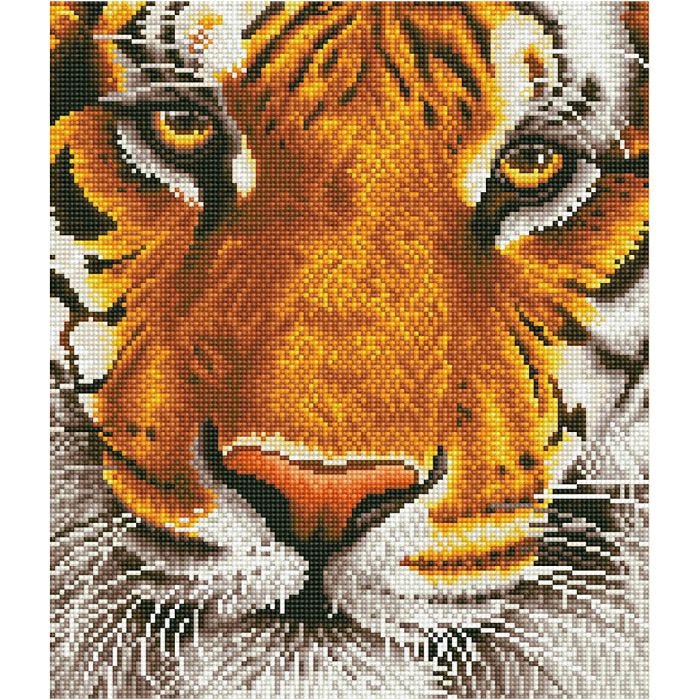 Diamond Dotz, Bengal magic, size 36x42 cm, 1 pack