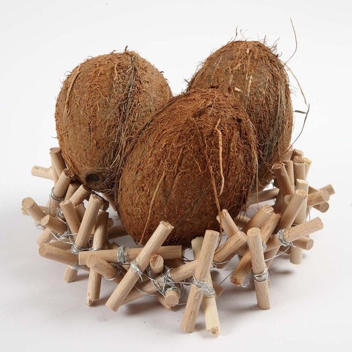 A Nest made from Flower Sticks