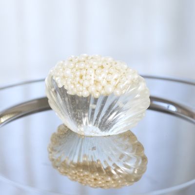 Clear bio-resin cast shell with beads