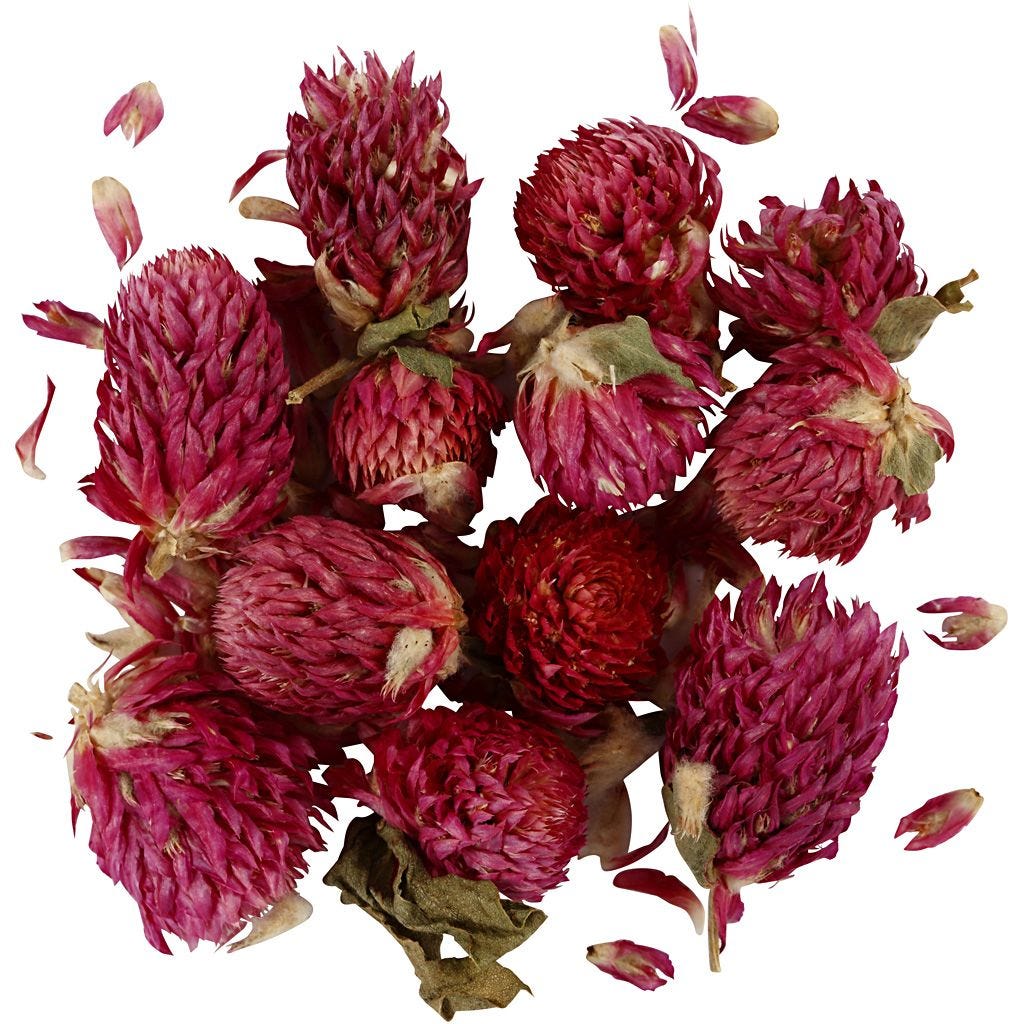 Dried Flowers