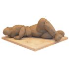 Curvaceous bodies in clay