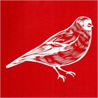 Screen Stencils, bird, 20x22 cm, 1 sheet