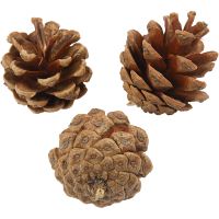 Pine Cones, D 40 mm, 200 g/ 1 pack