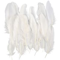 Feathers, white, 350 pc/ 1 pack