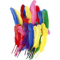 Feathers, L: 20 cm, assorted colours, 36 pc/ 1 pack
