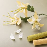 Clematis made from crepe paper