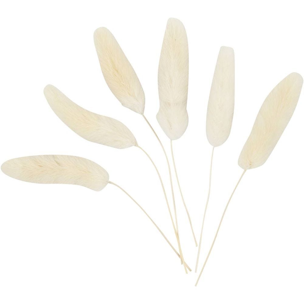 Bunny tail grass, L: 3-7 cm, 6 pc/ 1 pack