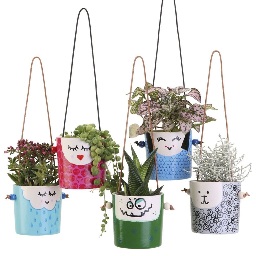Amusing hanging flower pots with faces