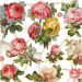 2 sheet/ 1 pack, roses, sheet 16,5x23,5 cm