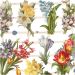 2 sheet/ 1 pack, Spring Flower, sheet 16,5x23,5 cm