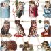 2 sheet/ 1 pack, cats, sheet 16,5x23,5 cm