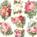 2 sheet/ 1 pack, rose assortment, sheet 16,5x23,5 cm
