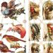 2 sheet/ 1 pack, birds, sheet 16,5x23,5 cm