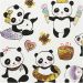 1 sheet, pandas, sheet 15x16,5 cm