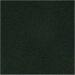 1 pc, H: 2 cm, size 9x6 cm, leaf green