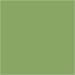 1 pc, L: 14,5 cm, line 1-2 mm, leaf green, 5,5 ml