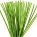 50 pc/ 1 pack, L: 30 cm, thickness 6 mm, leaf green