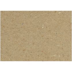 Cardboard