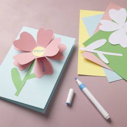 Coloured card