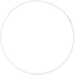 Metal Wire Ring