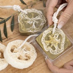 Natural Loofah Sponge