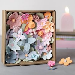 Cookie Cutters